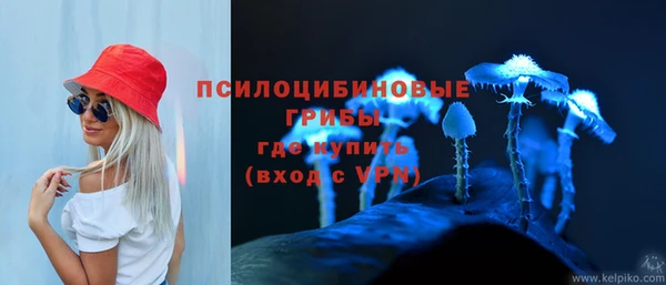 не бодяженный Армянск