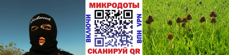 MEGA ссылки сайты даркнета как зайти Псилоцибиновые грибы Psilocybe Гвардейск